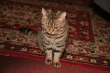010-IMG_5625.JPG.small.jpeg