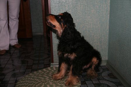 011-IMG_5626.JPG.medium.jpeg