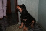 011-IMG_5626.JPG.small.jpeg