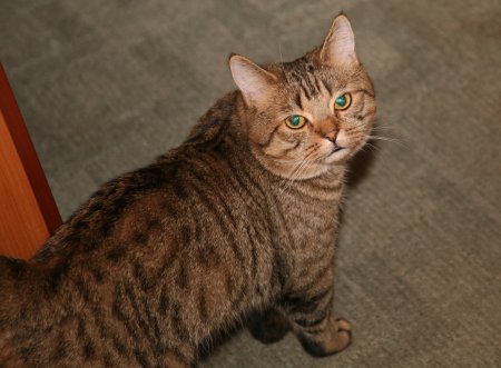 012-IMG_5628_e.JPG.medium.jpeg