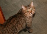 012-IMG_5628_e.JPG.small.jpeg