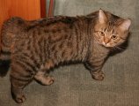 013-IMG_5629_e.JPG.small.jpeg