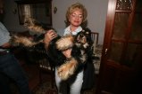 014-IMG_5631.JPG.small.jpeg