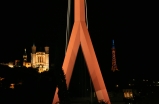 thumbnails/022-IMG_7196_e.JPG.small.jpeg
