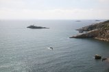 003-IMG_7230.JPG.small.jpeg