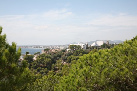 014-IMG_7251.JPG.medium.jpeg