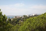 014-IMG_7251.JPG.small.jpeg