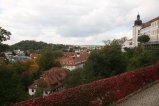 055-IMG_7407.JPG.small.jpeg