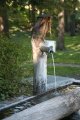 021-IMG_7500.JPG.small.jpeg