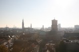 017-IMG_7571.JPG.small.jpeg