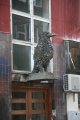 022-IMG_7582.JPG.small.jpeg