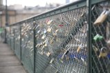 003-IMG_7830.JPG.small.jpeg
