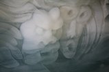 026-IMG_8102.JPG.small.jpeg