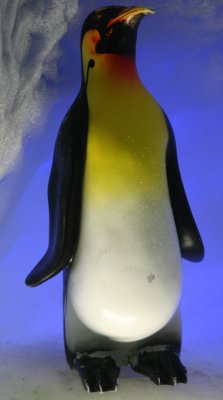 028-IMG_8106_e.JPG.medium.jpeg