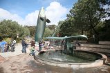 000-IMG_8142.JPG.small.jpeg