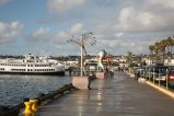 008-IMG_8156.JPG.small.jpeg