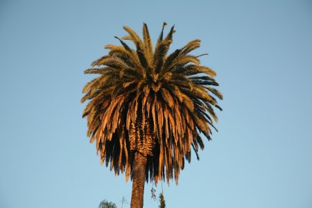 024-IMG_8193.JPG.medium.jpeg
