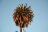 024-IMG_8193.JPG.small.jpeg