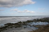 027-IMG_8206.JPG.small.jpeg