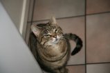 007-IMG_8242.JPG.small.jpeg