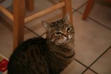 008-IMG_8244.JPG.small.jpeg