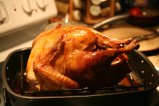 012-IMG_8251.JPG.small.jpeg