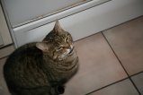 013-IMG_8252.JPG.small.jpeg