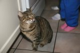015-IMG_8255.JPG.small.jpeg