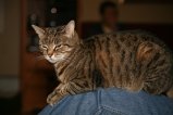 016-IMG_8262.JPG.small.jpeg