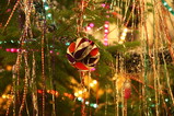 025-IMG_8443.JPG.small.jpeg