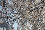 103-IMG_8621.JPG.small.jpeg