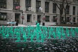IMG_8744.JPG.small.jpeg