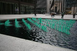 IMG_8746.JPG.small.jpeg