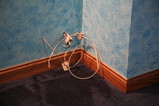 IMG_8834.JPG.small.jpeg