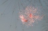 IMG_8988_e.JPG.small.jpeg