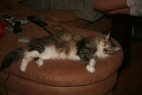 IMG_9514.JPG.small.jpeg
