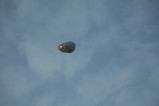 IMG_9936.JPG.small.jpeg