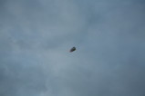 IMG_9937.JPG.small.jpeg