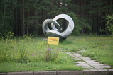 IMG_9970.JPG.small.jpeg
