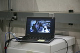 IMG_0280.JPG.small.jpeg