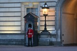 IMG_0581_e.JPG.small.jpeg