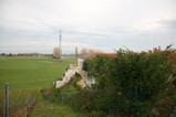 IMG_0617.JPG.small.jpeg