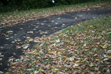 IMG_0620.JPG.small.jpeg