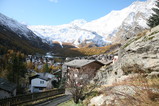 IMG_0628.JPG.small.jpeg