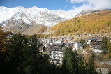IMG_0633.JPG.small.jpeg