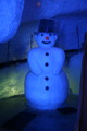 IMG_0641.JPG.small.jpeg