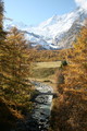 IMG_0672.JPG.small.jpeg