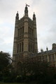 IMG_0762.JPG.small.jpeg