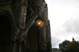 IMG_0786.JPG.small.jpeg