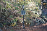 IMG_0827.JPG.small.jpeg